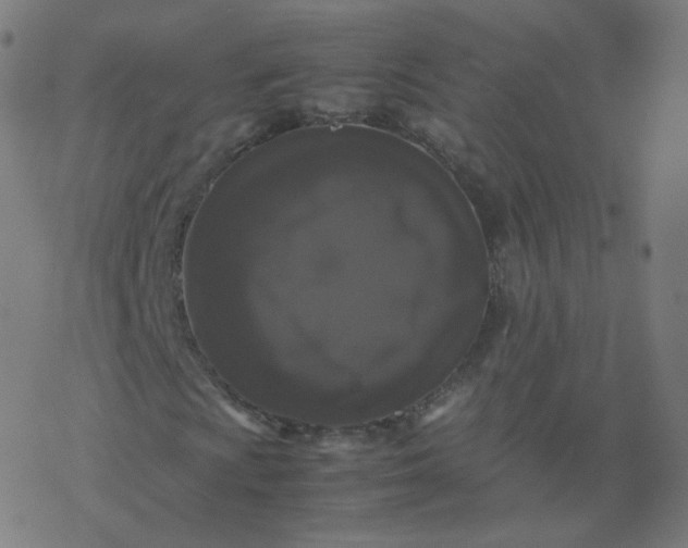 X0000077381009200611031931