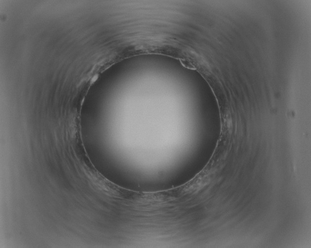 X0000077381012200611031931