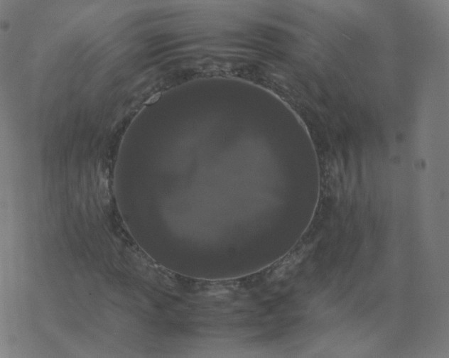 X0000077381013200611031931