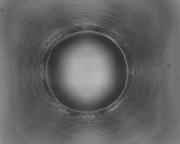 X0000077381014200611031931