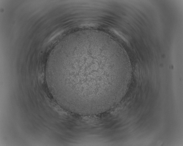 X0000077381015200611031931