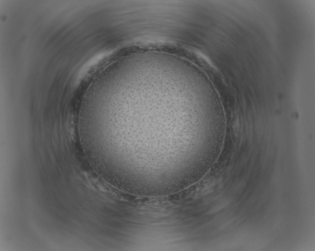 X0000077381016200611031931