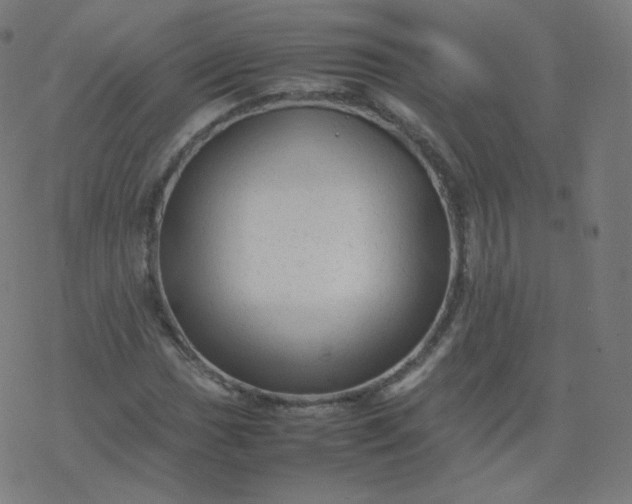 X0000077381017200611031931