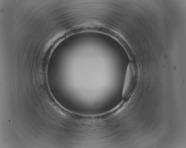 X0000077381018200611031931