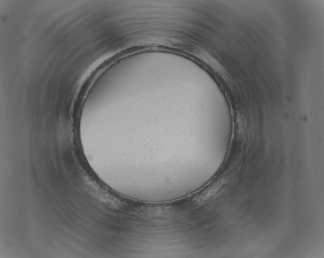 X0000077381020200611031931