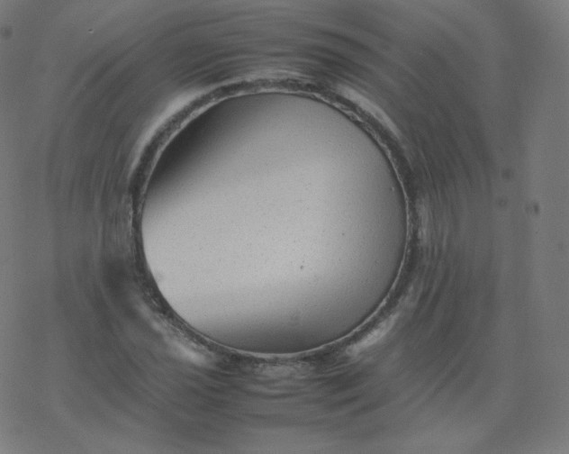 X0000077381021200611031931