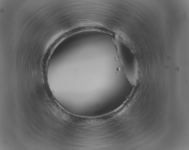 X0000077381022200611031931