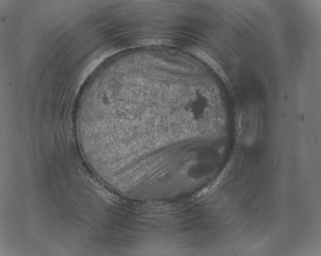 X0000077381023200611031931