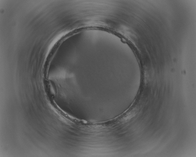 X0000077381024200611031931