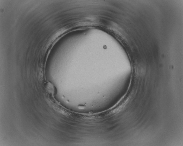 X0000077381025200611031931