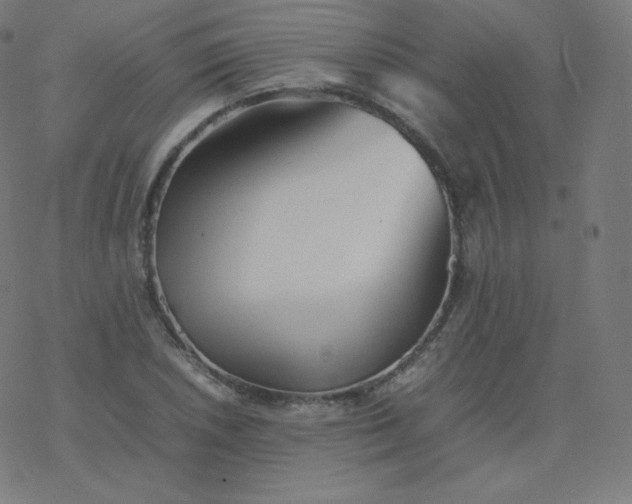 X0000077381026200611031931