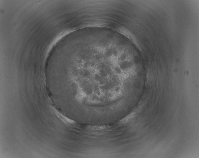 X0000077381027200611031931