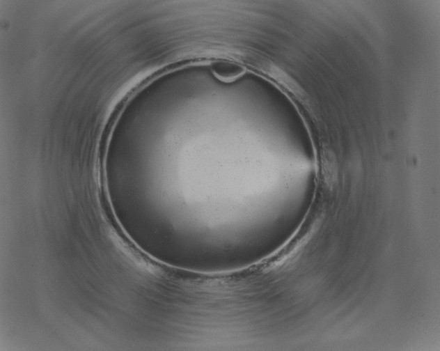 X0000077381028200611031931