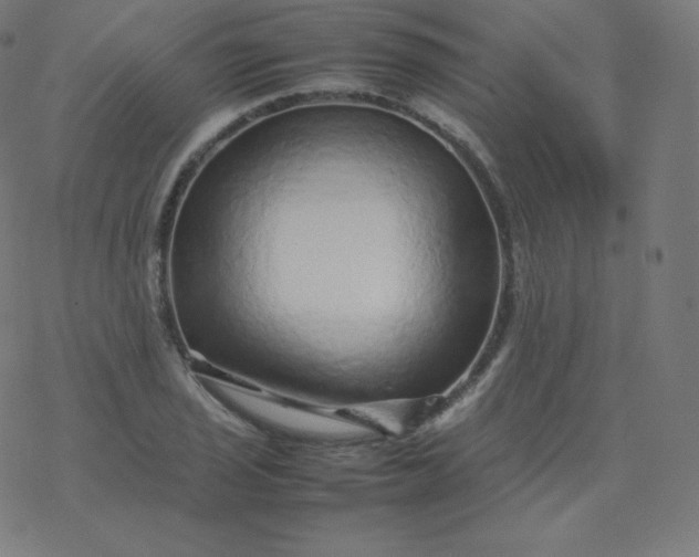 X0000077381029200611031931