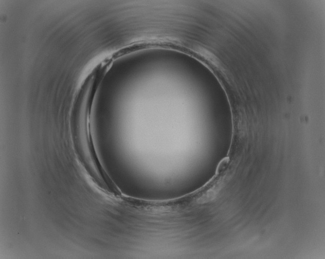 X0000077381030200611031931