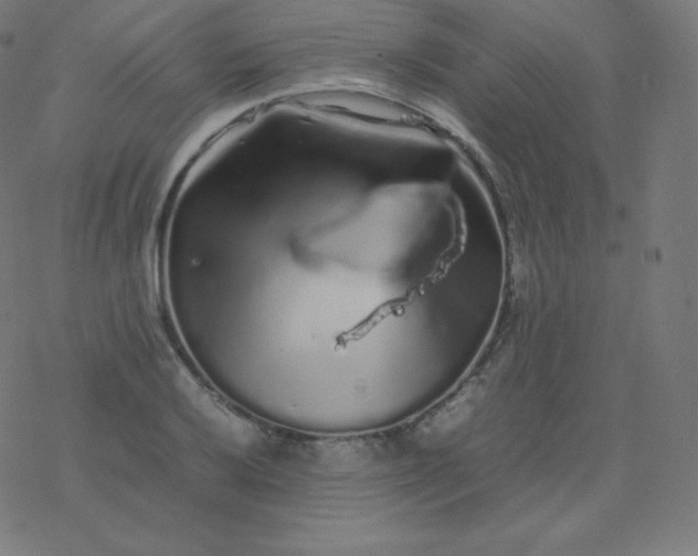 X0000077381032200611031931