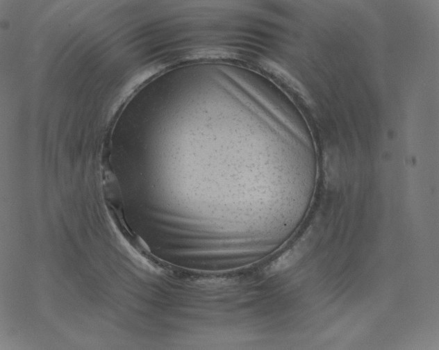 X0000077381033200611031931