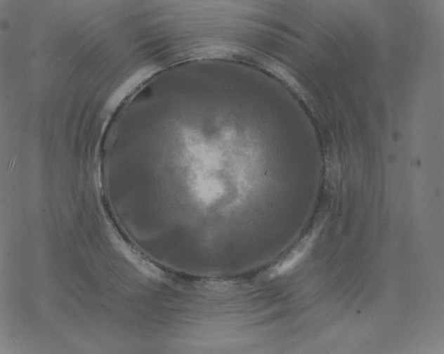 X0000077381034200611031931