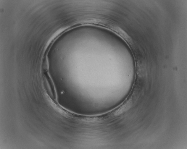 X0000077381036200611031931