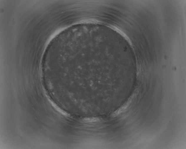 X0000077381037200611031931