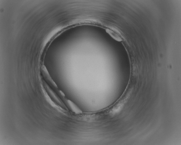 X0000077381038200611031931