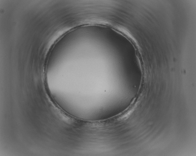 X0000077381040200611031931