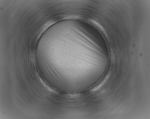 X0000077381041200611031931