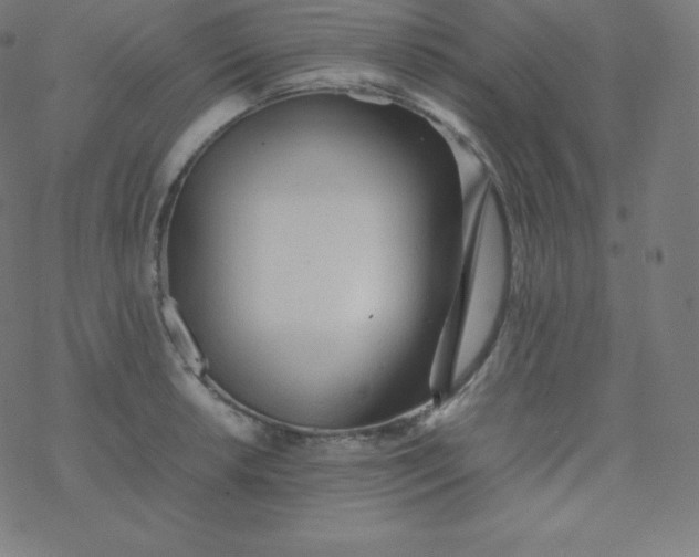 X0000077381042200611031931