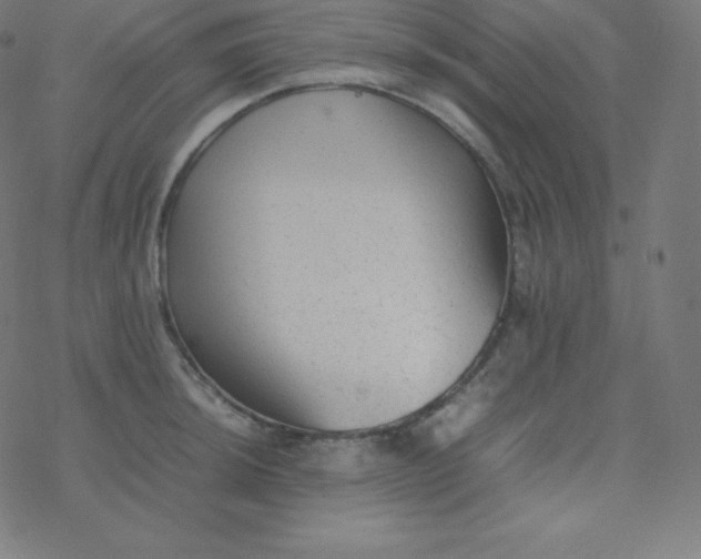 X0000077381044200611031931