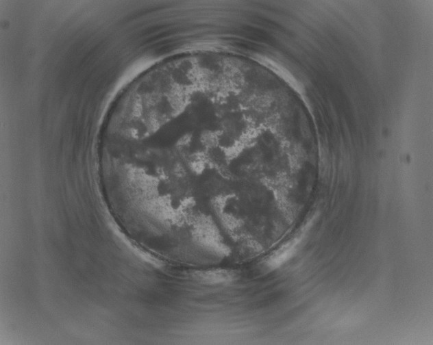 X0000077381045200611031931