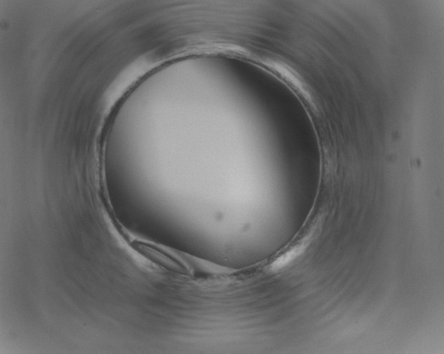 X0000077381046200611031931