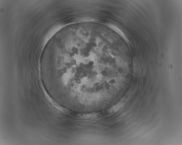 X0000077381047200611031931