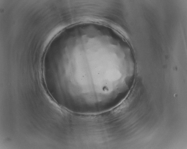 X0000077381048200611031931