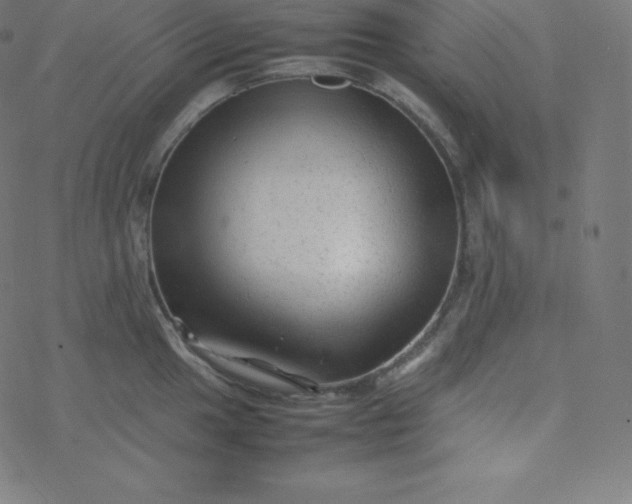 X0000077381049200611031931