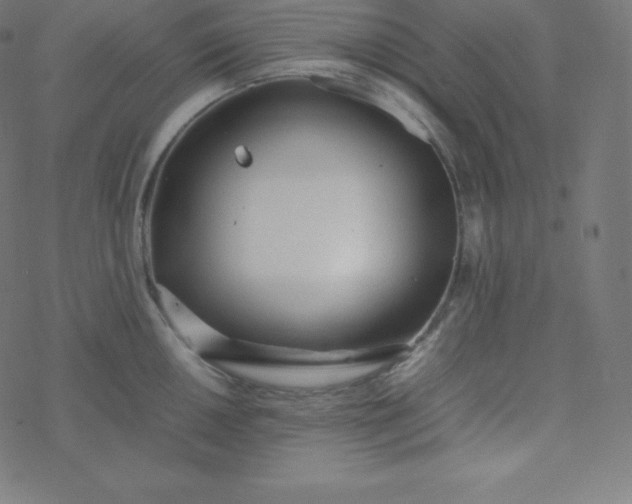 X0000077381050200611031931