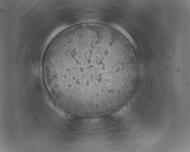 X0000077381051200611031931