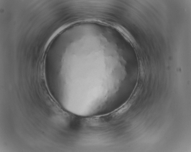 X0000077381052200611031931