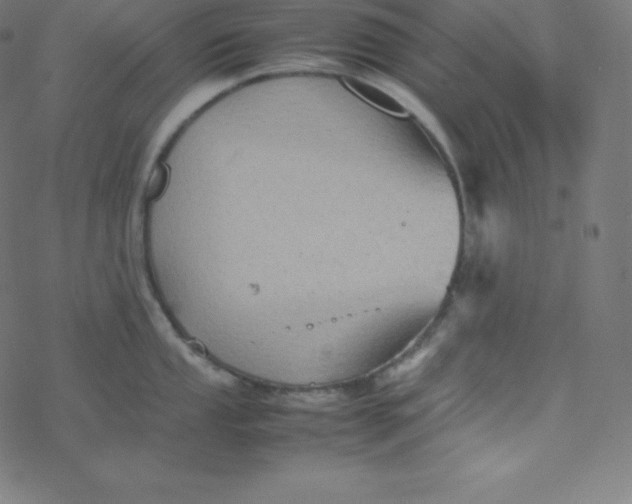 X0000077381053200611031931