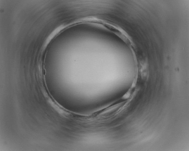 X0000077381054200611031931