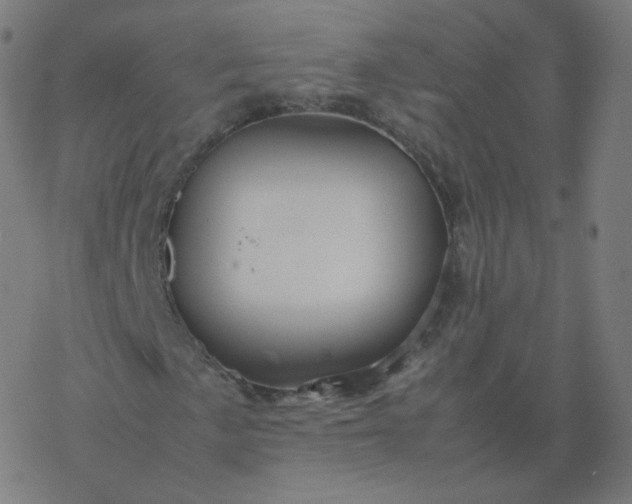 X0000077381057200611031931