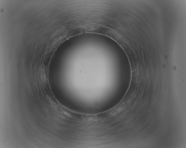 X0000077381058200611031931