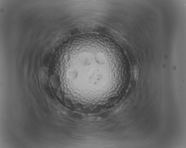 X0000077381059200611031931