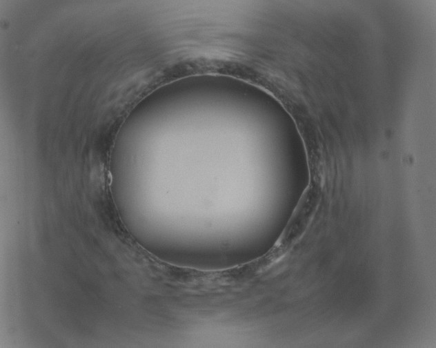 X0000077381061200611031931