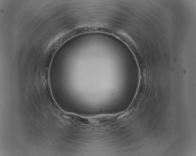 X0000077381064200611031931