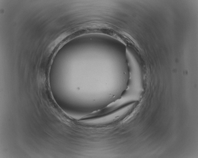 X0000077381065200611031931