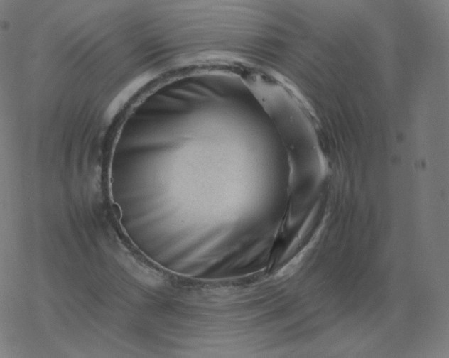 X0000077381066200611031931