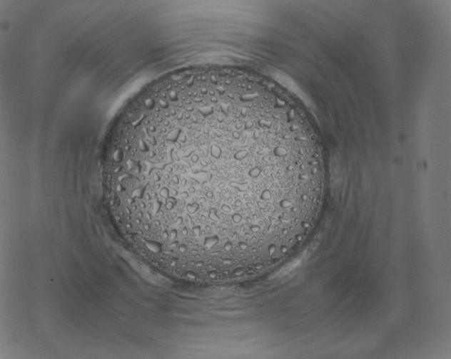 X0000077381067200611031931