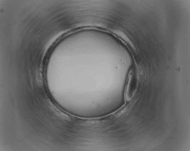 X0000077381068200611031931