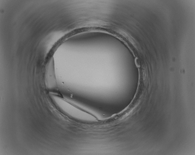 X0000077381069200611031931