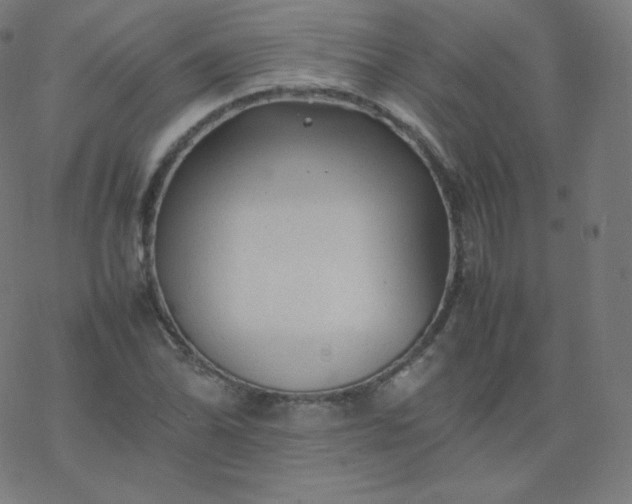 X0000077381070200611031931